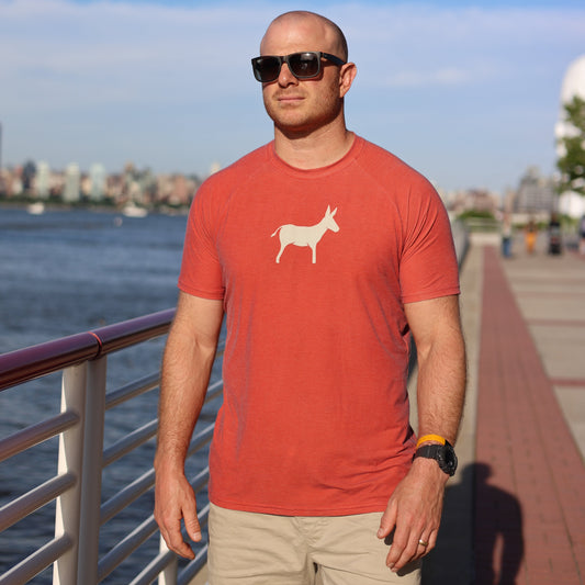 SHORT SLEEVE T-SHIRT RUST