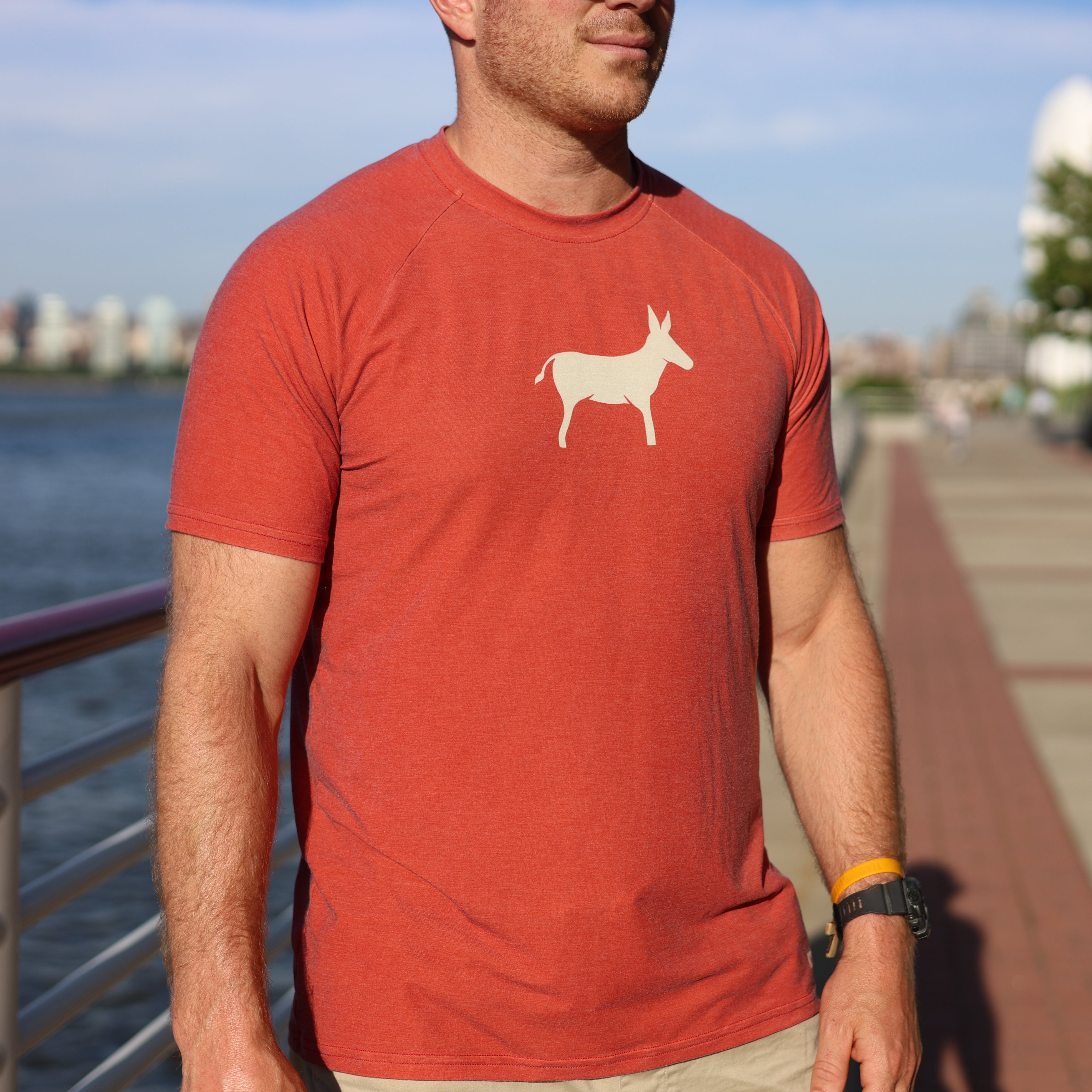 SHORT SLEEVE T-SHIRT RUST