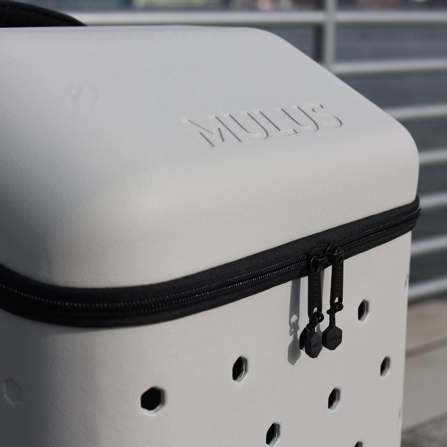 Team 91 (Charlotte) Ash Gray